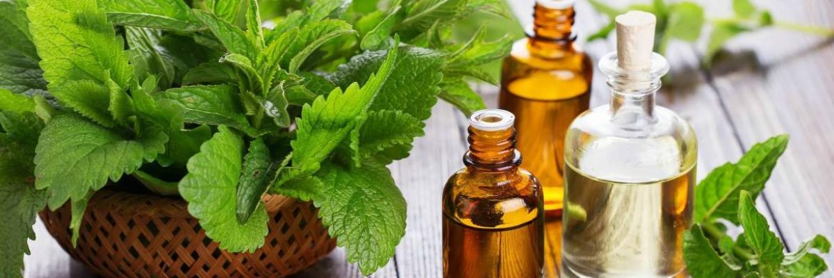 ممنوعیت واردات گیاهان دارویی